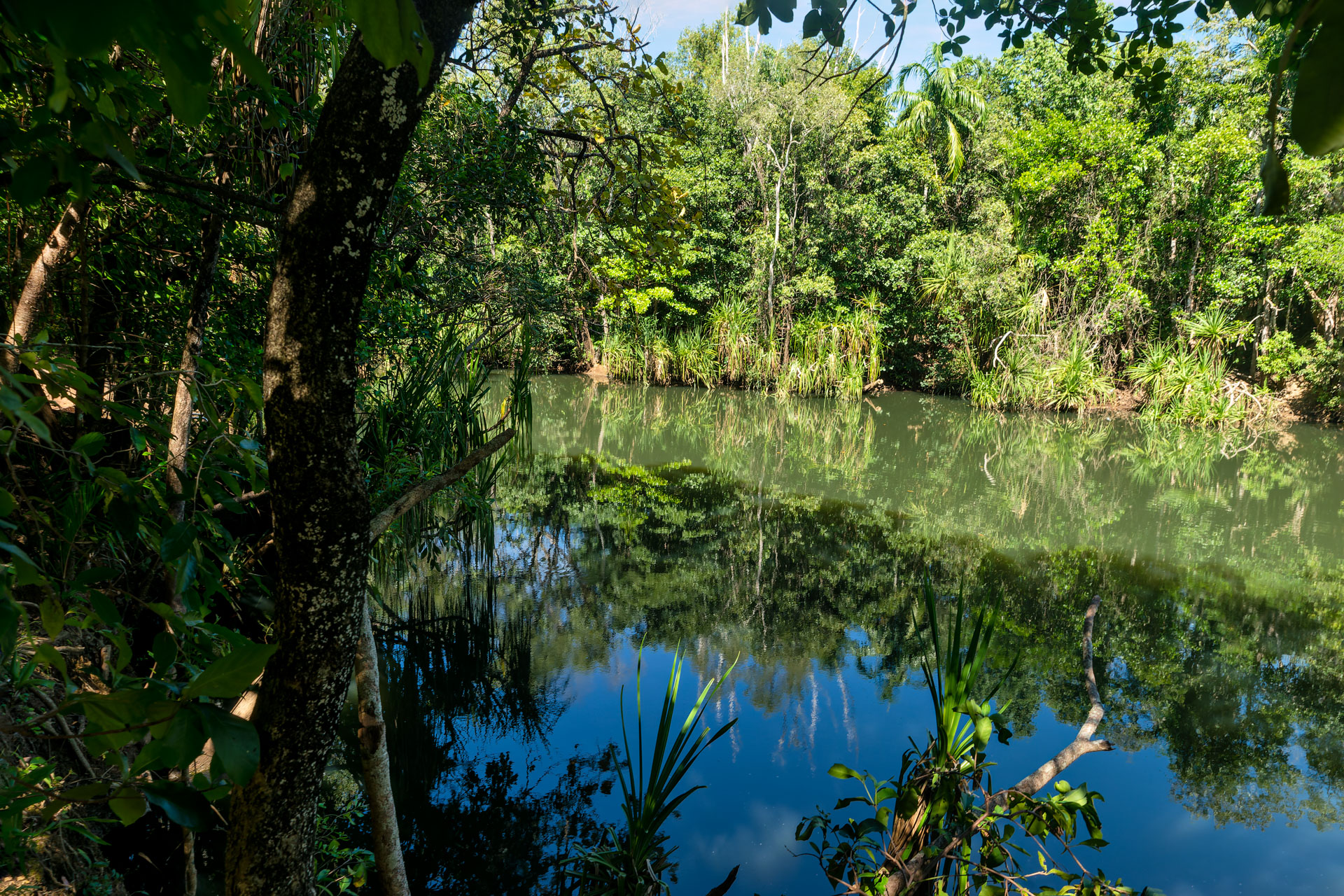 Berry Springs Naturreservat & Wasserloch